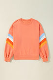 Sweater Long Sleeves