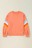 Sweater Long Sleeves
