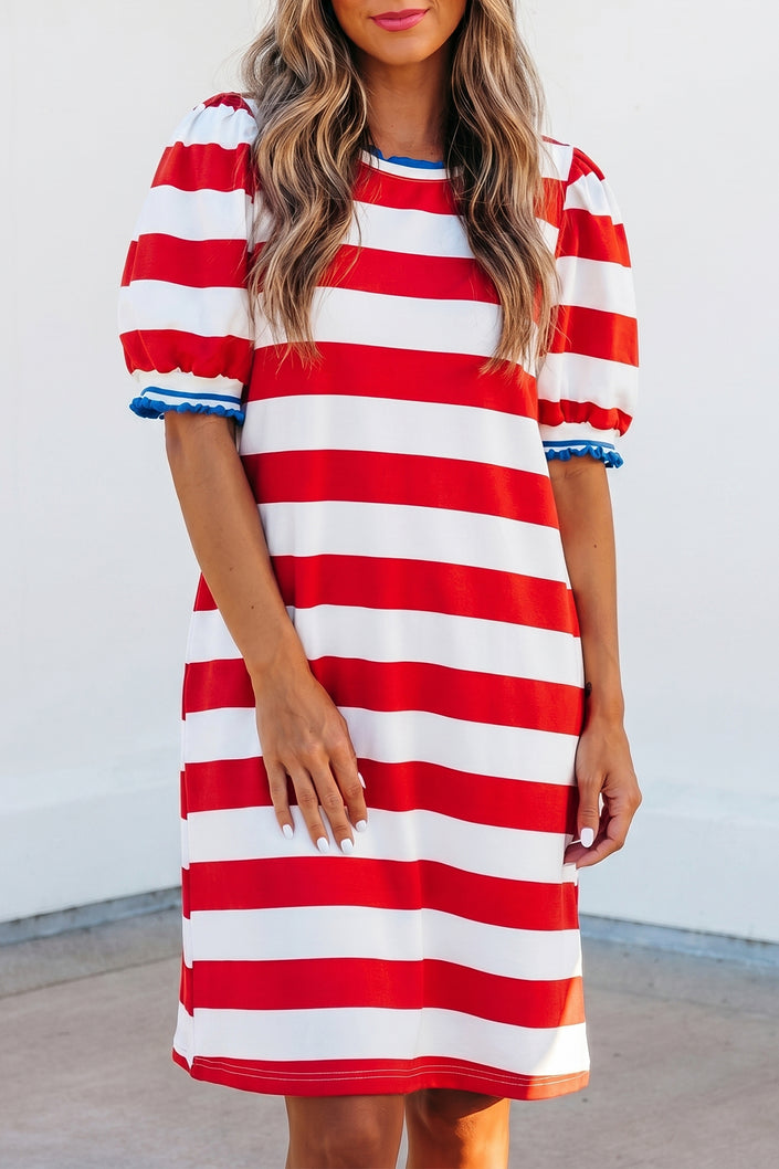 Blue Stripe Contrast Trim Round Neck Short Puff Sleeve Shift Mini Dress