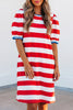 Blue Stripe Contrast Trim Round Neck Short Puff Sleeve Shift Mini Dress