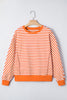 Sweater Long Sleeves