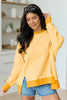 Sweater Long Sleeves