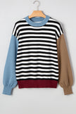 Sweater Long Sleeves